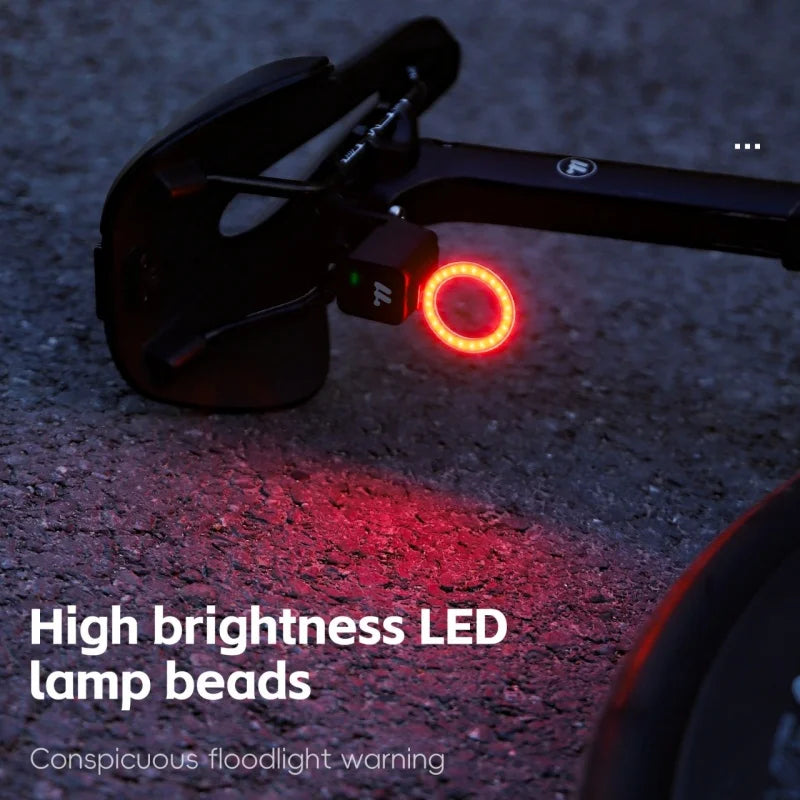 Bicycle LED Taillight Type-C Tail Light WEST BIKING